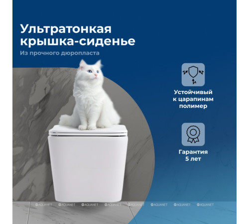 Унитаз подвесной Aquanet Trend W безободковый с сиденьем 495x350x260 мм LX-1148