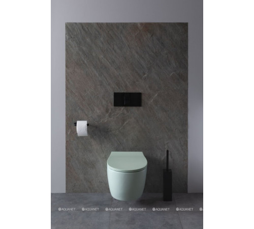 Унитаз подвесной Allen Brau FANTASY Rimless 510x363 мм мятный 4.11004.MT