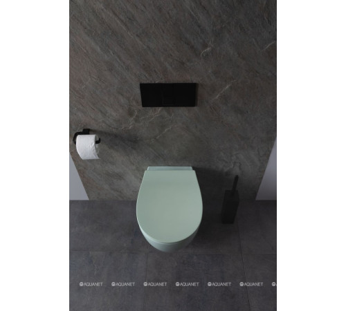 Унитаз подвесной Allen Brau FANTASY Rimless 510x363 мм мятный 4.11004.MT