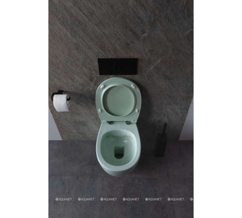 Унитаз подвесной Allen Brau FANTASY Rimless 510x363 мм мятный 4.11004.MT