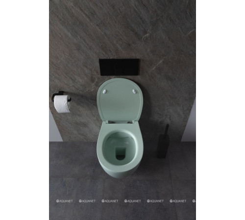 Унитаз подвесной Allen Brau FANTASY Rimless 510x363 мм мятный 4.11004.MT