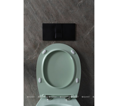 Унитаз подвесной Allen Brau FANTASY Rimless 510x363 мм мятный 4.11004.MT