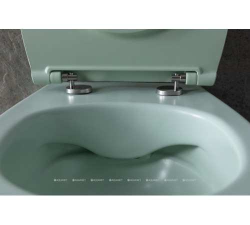 Унитаз подвесной Allen Brau FANTASY Rimless 510x363 мм мятный 4.11004.MT