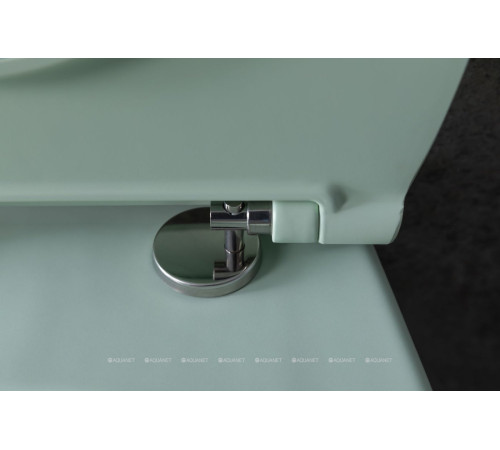 Унитаз подвесной Allen Brau FANTASY Rimless 510x363 мм мятный 4.11004.MT