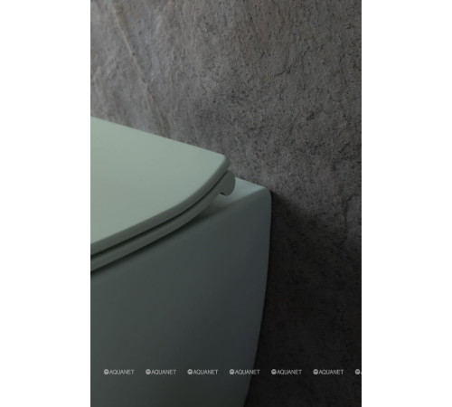 Унитаз подвесной Allen Brau FANTASY Rimless 510x363 мм мятный 4.11004.MT