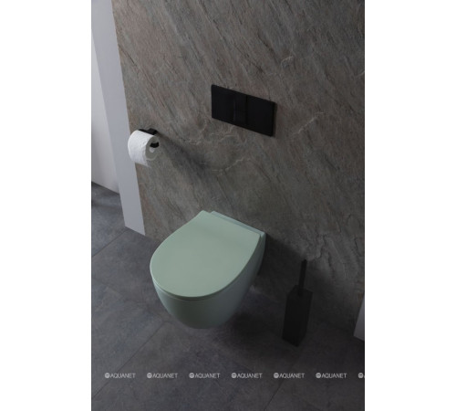 Унитаз подвесной Allen Brau FANTASY Rimless 510x363 мм мятный 4.11004.MT