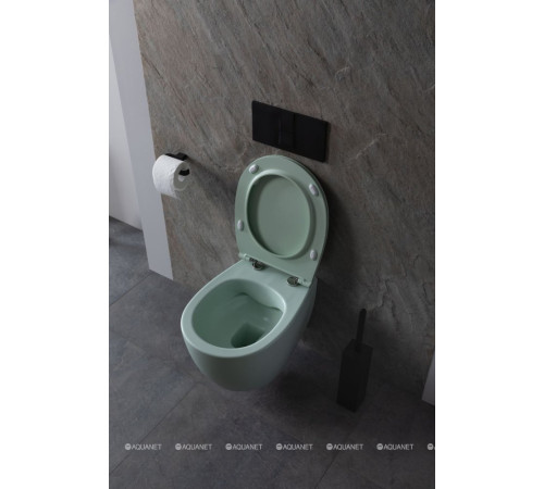 Унитаз подвесной Allen Brau FANTASY Rimless 510x363 мм мятный 4.11004.MT