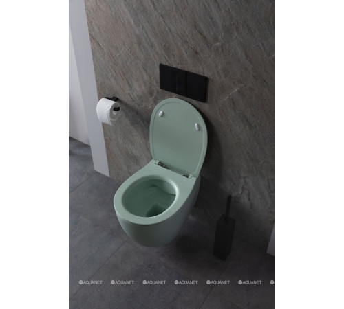 Унитаз подвесной Allen Brau FANTASY Rimless 510x363 мм мятный 4.11004.MT