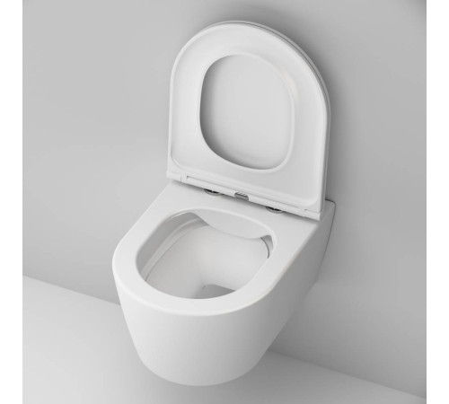 Унитаз подвесной AM.PM Func FlashClean с сиденьем микролифт матовый C8F1700MWSC
