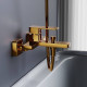 Смеситель для ванны и душа AM.PM Gala золото F531000600