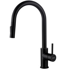 Смеситель для кухни Aquanet Европа с вытяжным изливом 2 jet матовый черный AQ1384MB