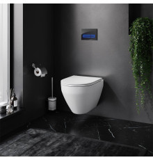 Комплект инсталляции AM.PM с подвесным унитазом FlashClean, сиденьем микролифт и клавишей IS450A38.701700