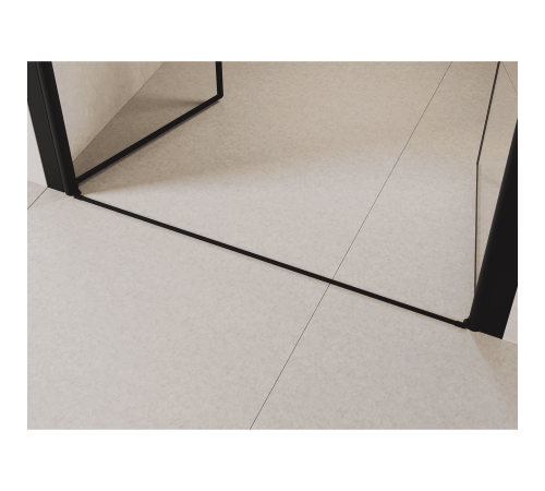 Душевая дверь RGW Passage PA-104B 800 мм маятниковая черный 060810408-14