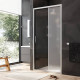 Душевая дверь в нишу AM.PM Gem 100х195 см раздвижная W90G-100-1-195MM