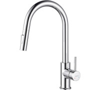 Смеситель для кухни Aquanet Европа с вытяжным изливом 2 jet хром AQ1384CR