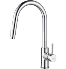 Смеситель для кухни Aquanet Европа с вытяжным изливом 2 jet хром AQ1384CR