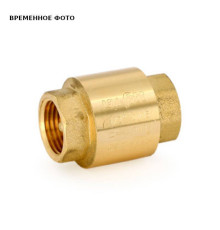 Клапан обратный Etalon 1 1/4 пружинный с металлическим затвором 223G5001