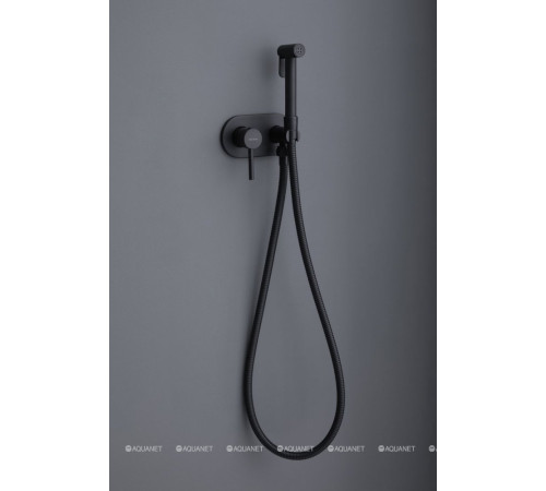 Смеситель с гигиеническим душем Allen Brau Priority скрытая часть черный матовый 5.31005-31