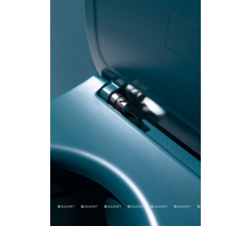 Унитаз подвесной Allen Brau Fantasy rimless без сиденья 510x363 мм петроль 4.11004.PT