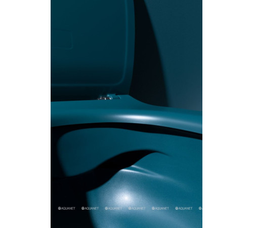 Унитаз подвесной Allen Brau Fantasy rimless без сиденья 510x363 мм петроль 4.11004.PT