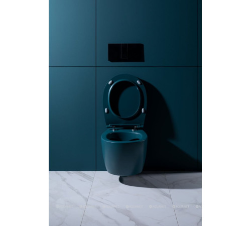 Унитаз подвесной Allen Brau Fantasy rimless без сиденья 510x363 мм петроль 4.11004.PT