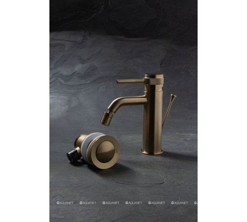 Смеситель для биде Allen Brau Priority 3.0 излив 122 мм золото 5.31A04-GB