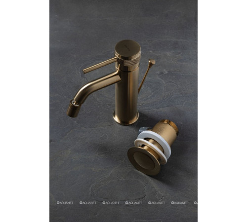 Смеситель для биде Allen Brau Priority 3.0 излив 122 мм золото 5.31A04-GB