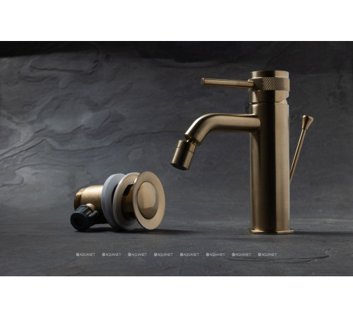 Смеситель для биде Allen Brau Priority 3.0 излив 122 мм золото 5.31A04-GB