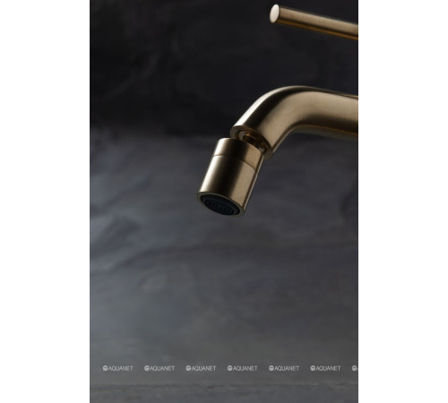 Смеситель для биде Allen Brau Priority 3.0 излив 122 мм золото 5.31A04-GB