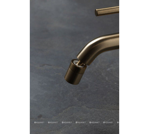 Смеситель для биде Allen Brau Priority 3.0 излив 122 мм золото 5.31A04-GB