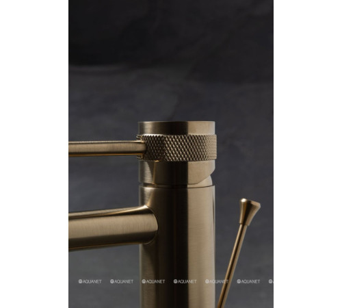 Смеситель для биде Allen Brau Priority 3.0 излив 122 мм золото 5.31A04-GB