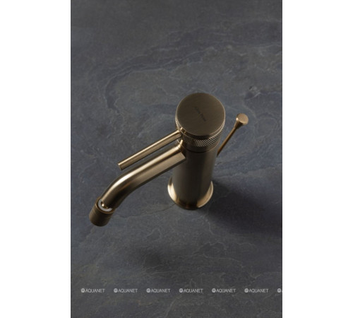 Смеситель для биде Allen Brau Priority 3.0 излив 122 мм золото 5.31A04-GB