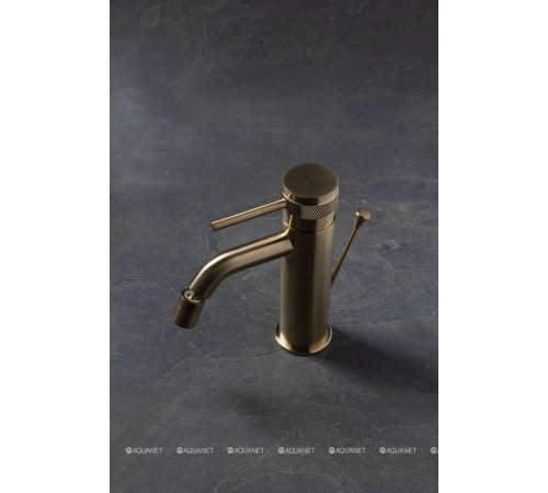 Смеситель для биде Allen Brau Priority 3.0 излив 122 мм золото 5.31A04-GB