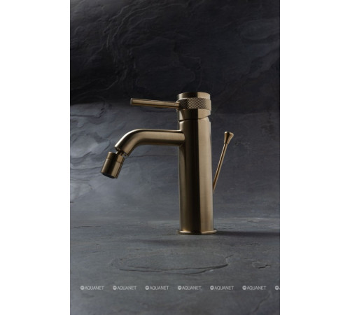 Смеситель для биде Allen Brau Priority 3.0 излив 122 мм золото 5.31A04-GB