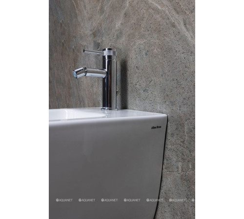 Биде подвесное Allen Brau Liberty 520х360 мм 4.33016.20