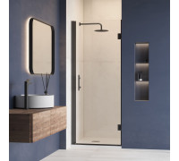 Душевая дверь RGW Hotel HO-011B 700 мм черный 350601107-14