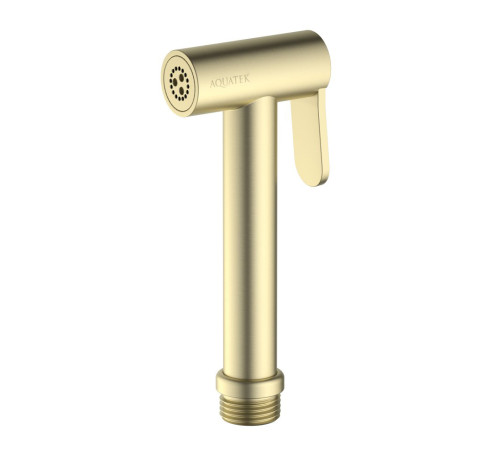Гигиеническая лейка Aquanet шлифованное золото AQ2057BG