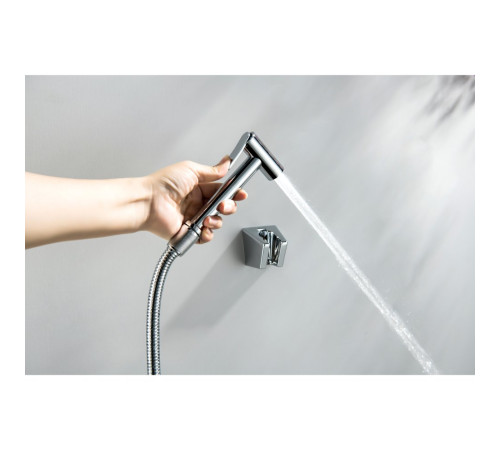Гигиенический душ со шлангом 120 см и держателем Aquanet хром AQ2054CR