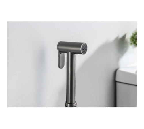 Гигиеническая лейка Aquanet оружейная сталь AQ2057BGM