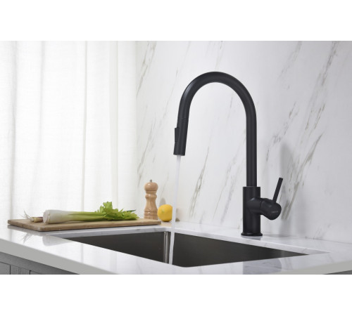 Смеситель для кухни Aquanet Европа с вытяжным изливом 2 jet матовый черный AQ1384MB