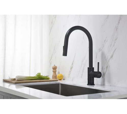 Смеситель для кухни Aquanet Европа с вытяжным изливом 2 jet матовый черный AQ1384MB