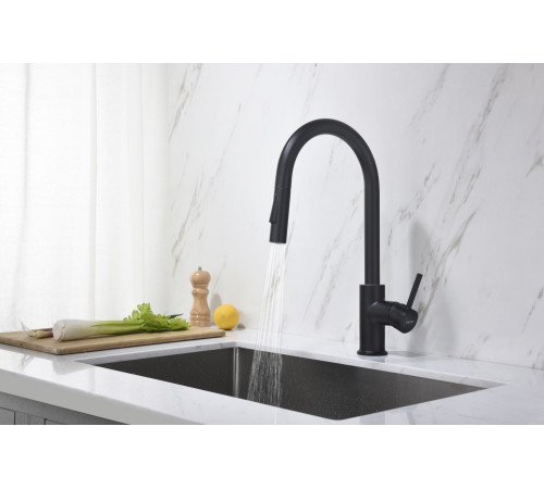 Смеситель для кухни Aquanet Европа с вытяжным изливом 2 jet матовый черный AQ1384MB