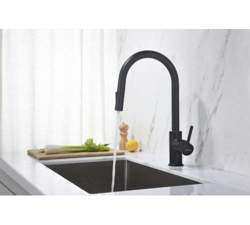 Смеситель для кухни Aquanet Европа с вытяжным изливом 2 jet матовый черный AQ1384MB