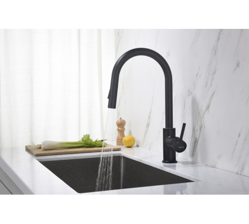 Смеситель для кухни Aquanet Европа с вытяжным изливом 2 jet матовый черный AQ1384MB