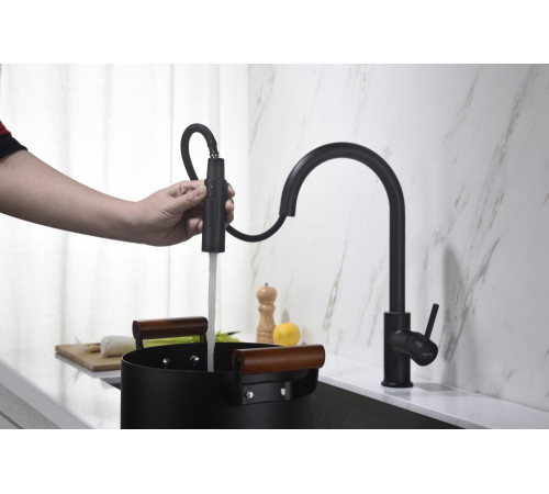 Смеситель для кухни Aquanet Европа с вытяжным изливом 2 jet матовый черный AQ1384MB