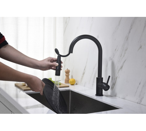 Смеситель для кухни Aquanet Европа с вытяжным изливом 2 jet матовый черный AQ1384MB