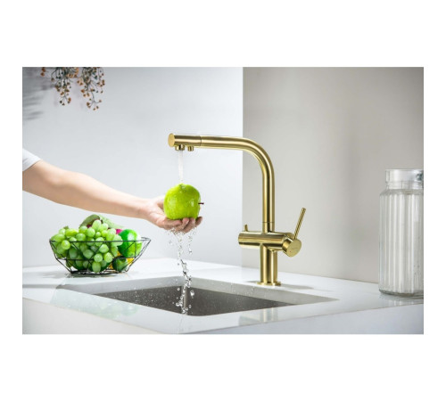 Смеситель для кухни Aquanet Европа под фильтр шлифованное золото AQ1385BG