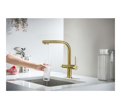 Смеситель для кухни Aquanet Европа под фильтр шлифованное золото AQ1385BG