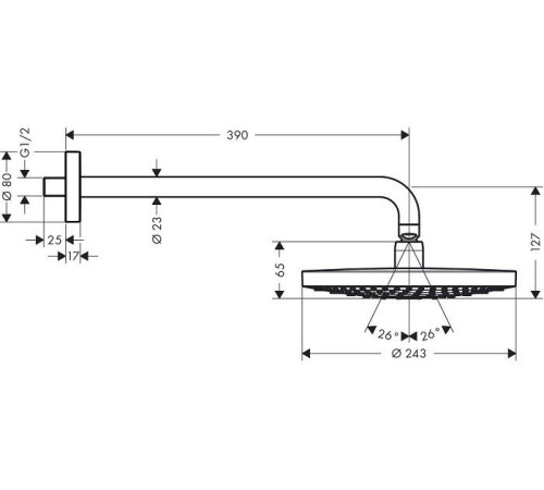 Верхний душ hansgrohe Raindance Select S 240 2jet 26466000