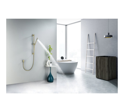 Душевой гарнитур Aquanet Европа 1jet 65 см шлифованное золото AQ2012BG